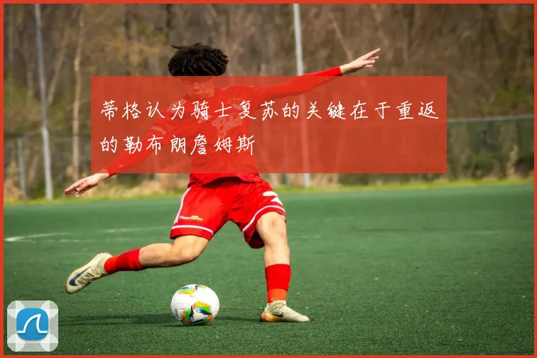 蒂格认为骑士复苏的关键在于重返的勒布朗詹姆斯