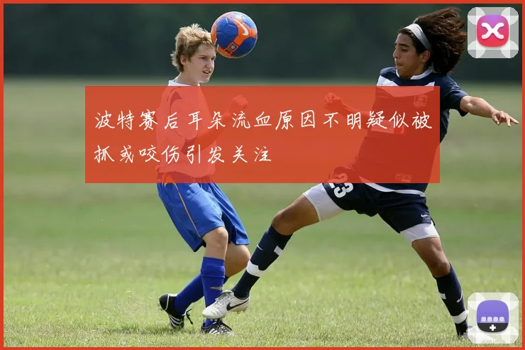 波特赛后耳朵流血原因不明疑似被抓或咬伤引发关注